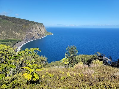 Waipiʻo Valley Lookout