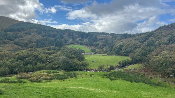 Shehy Highland Park 4