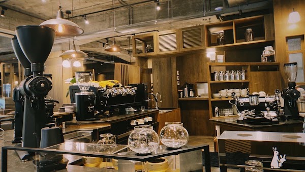 Coppii Lumii living coffee
