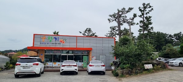 Gyulhyangi Tangerine Farm
