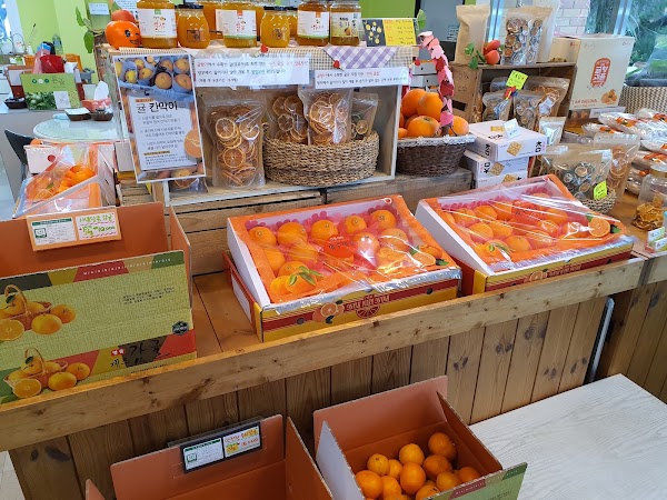 Gyulhyangi Tangerine Farm 3