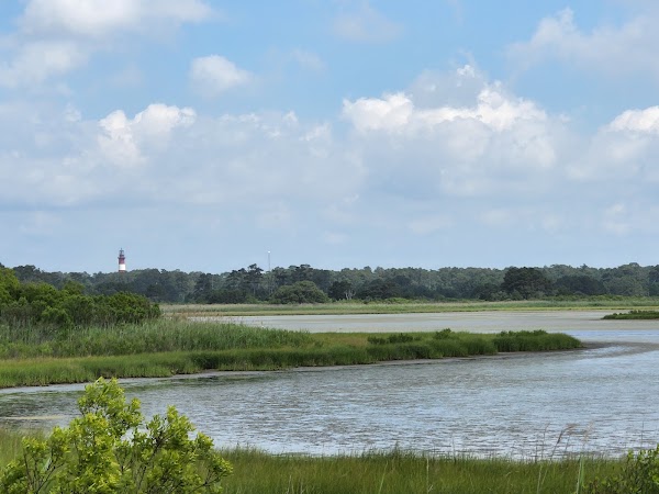 Chincoteague National Wildlife Refuge