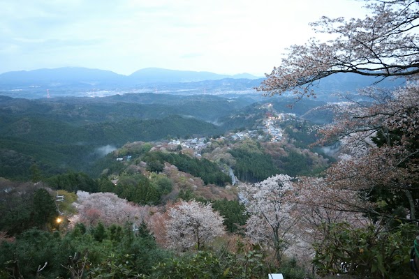 Yoshino