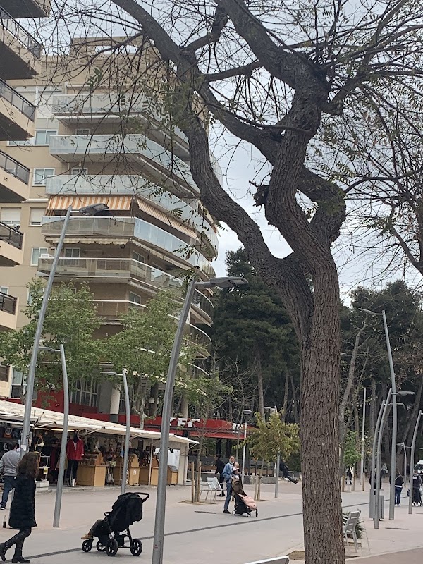 Salou