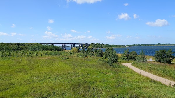 Byskoven