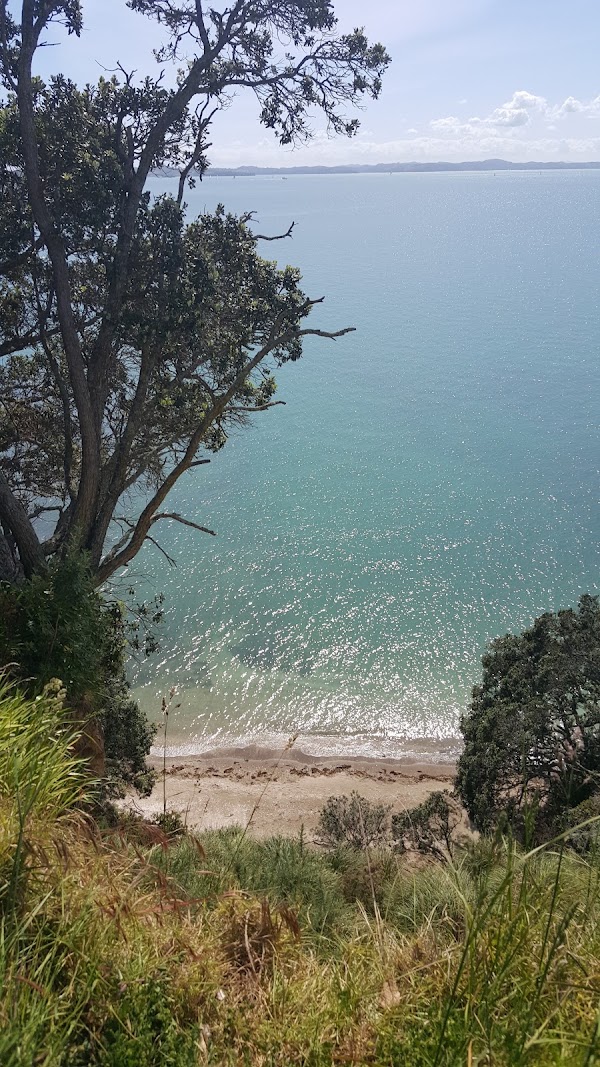Musick Point Road 4