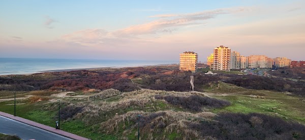 De Panne 4