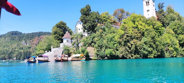 Bled 3