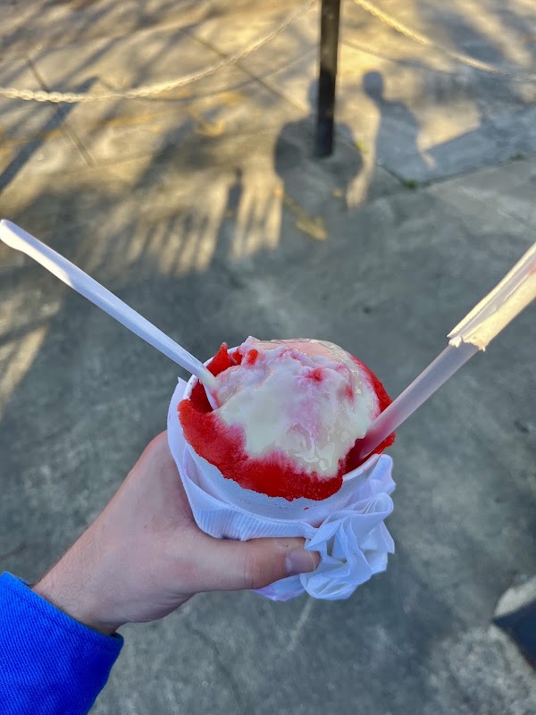 Sidney's Snowballs 4