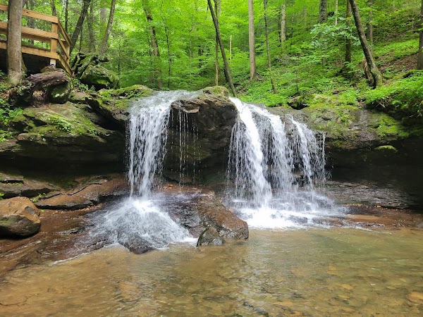 Frozen Head State Park