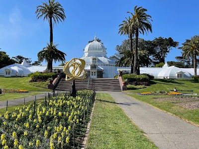 Golden Gate Park 2