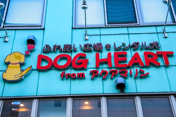DOG HEART