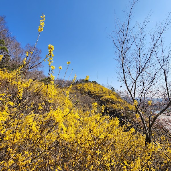 Dalmaji Park 3