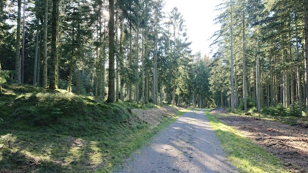 Frederikshåb Plantage
