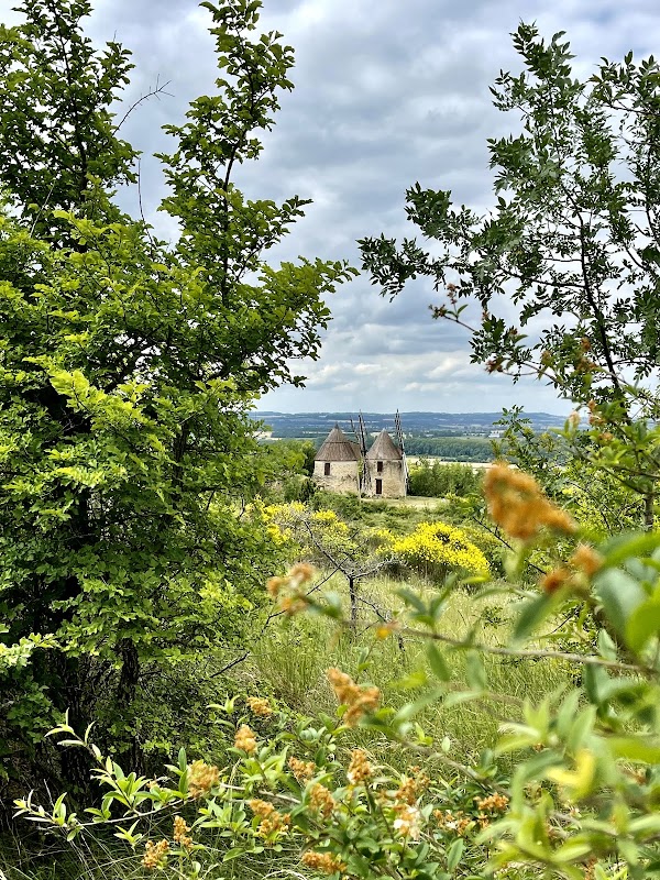 Moulins de Laffon 2