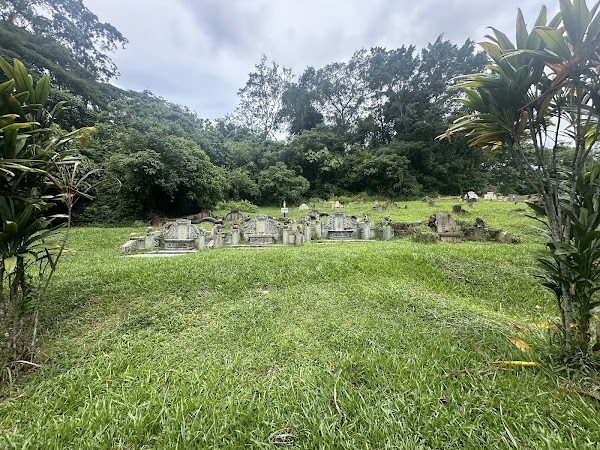 Bukit Brown Cemetery 2