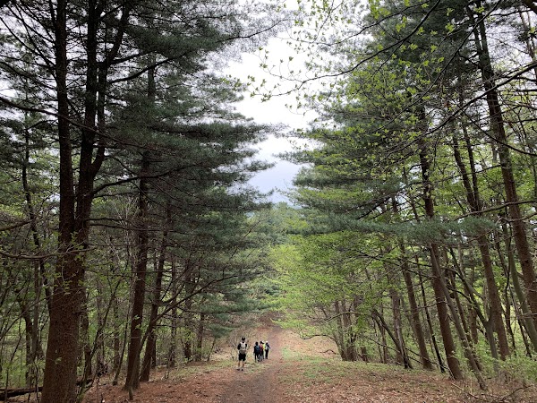Chungnyungsan 1