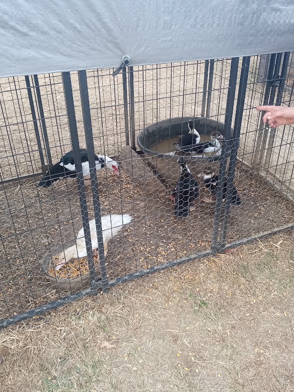 Mink and Walters Pumpkin Patch 1