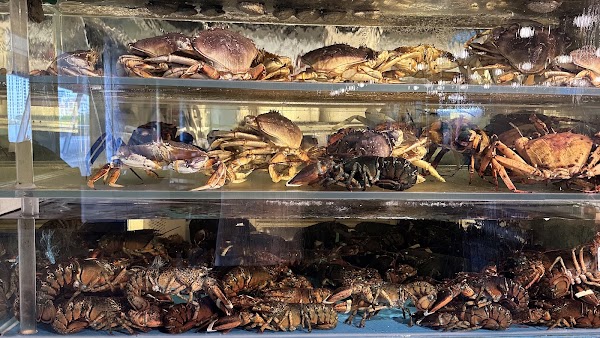 极鲜 Ji Xian Seafood & Hong Kong Dim Sum Express