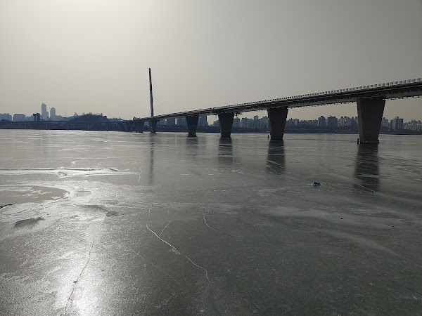 World Cup Bridge