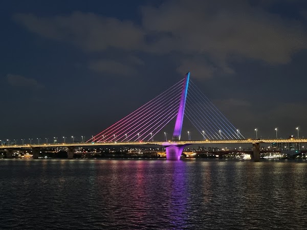 World Cup Bridge 5