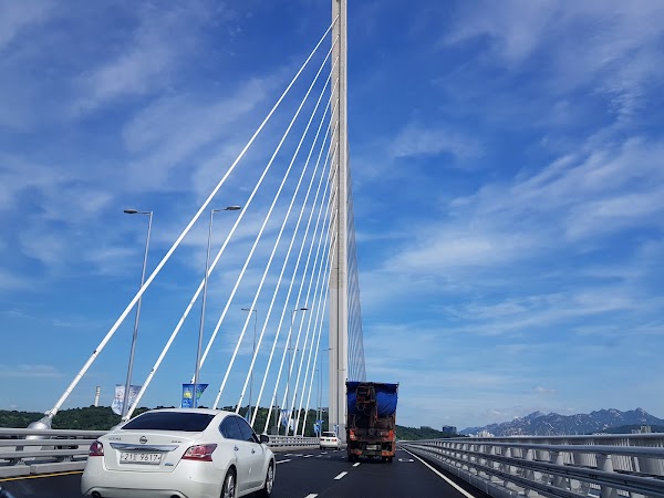 World Cup Bridge 4