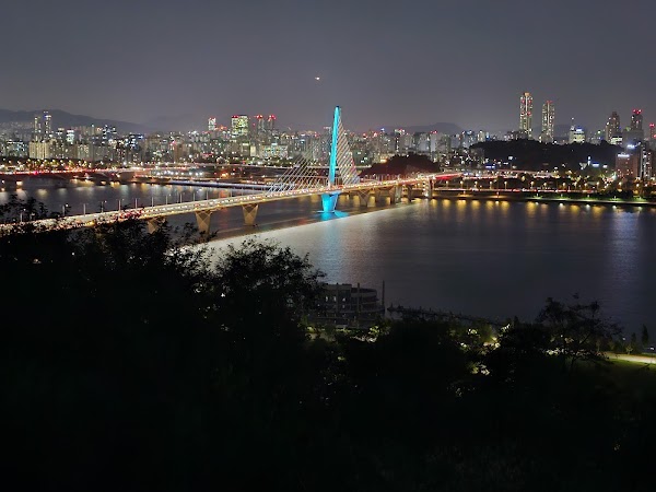 World Cup Bridge 3