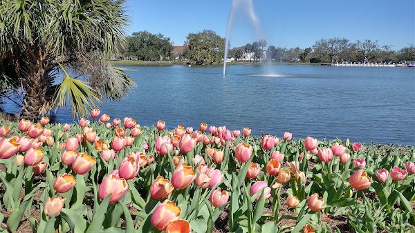 City Park 4