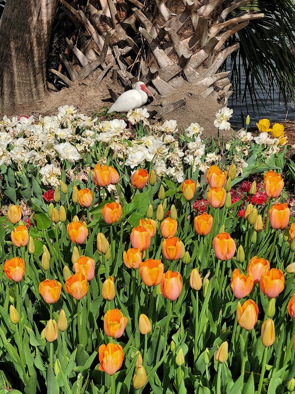 City Park 3