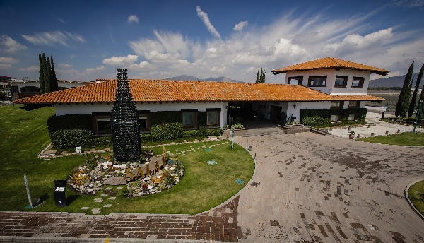 Viñedo Sala Vivé 1