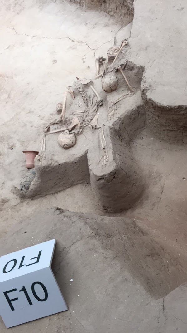 喇家遗址 3