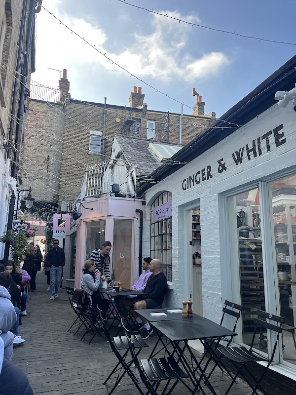 Ginger & White 2
