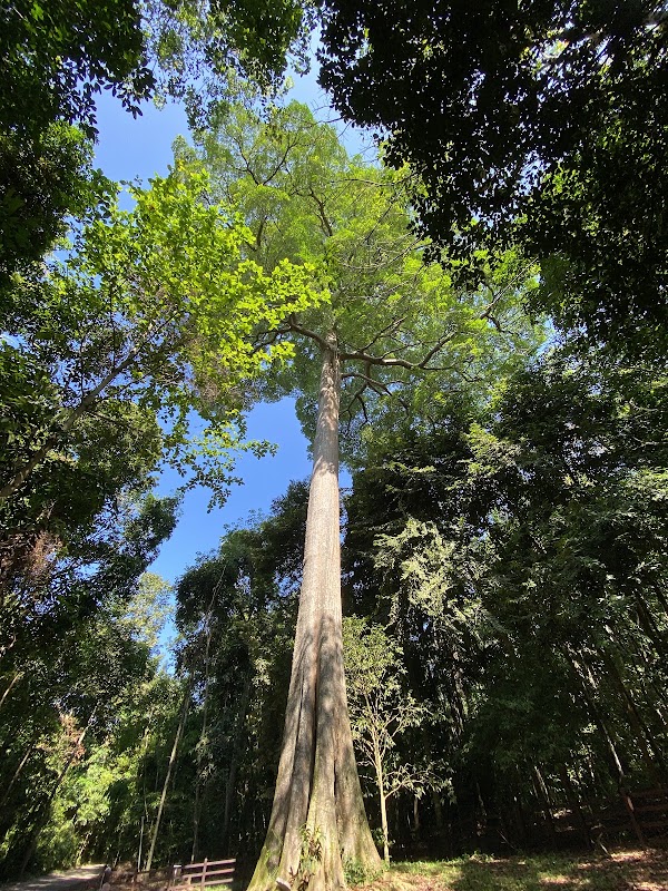 Pulau Ubin 2