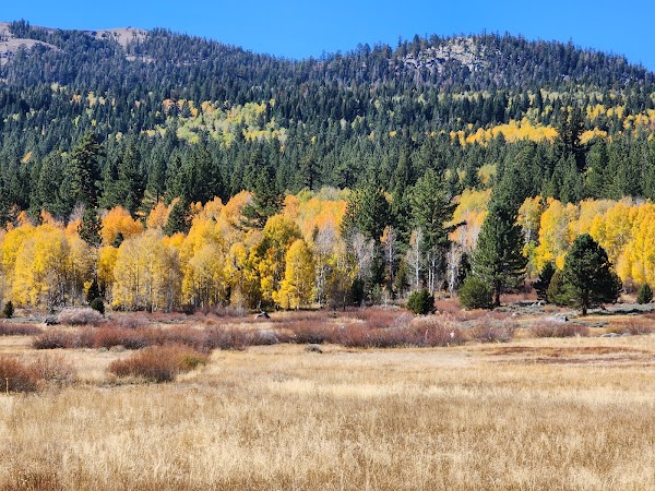 Hope Valley