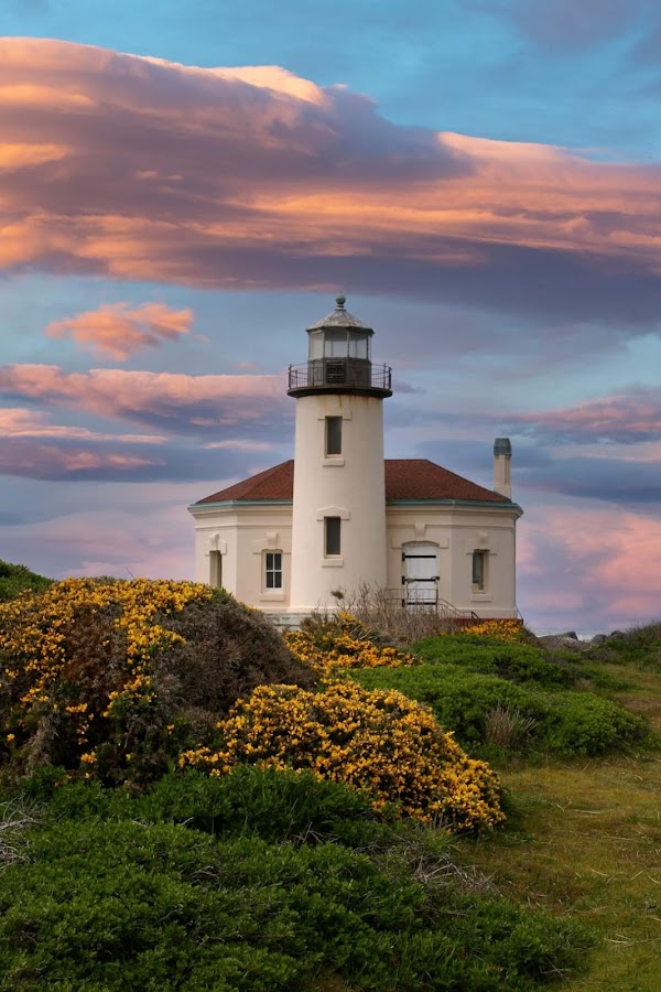 Bandon