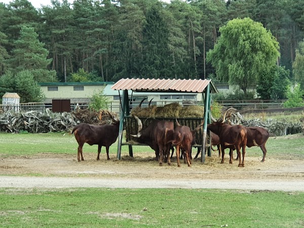 Serengeti Park Hodenhagen 5