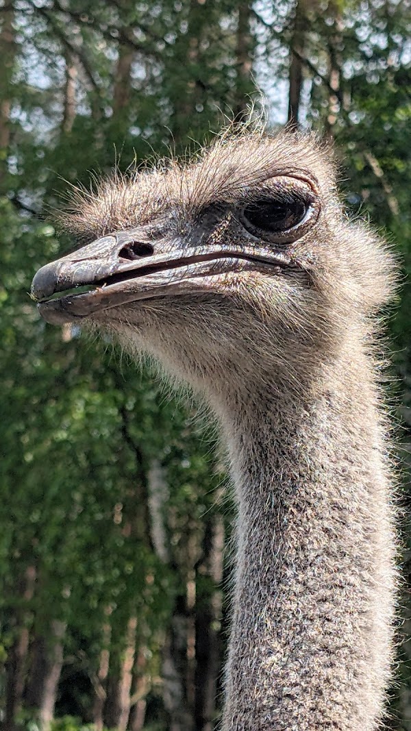 Serengeti Park Hodenhagen 2