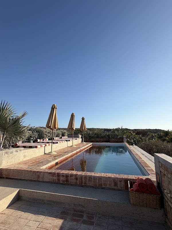 Hotel Humano 4