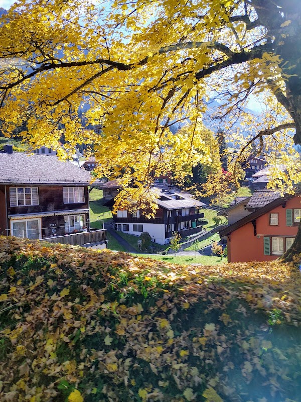 Wengen 4