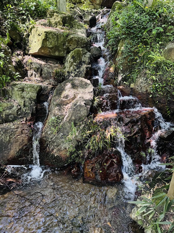 Mogan Shan 3