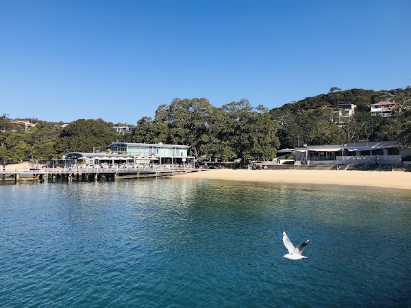 Australië 40