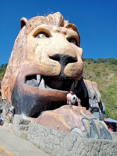 Lion’s Head