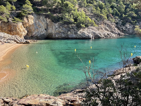 Cala Pola 5