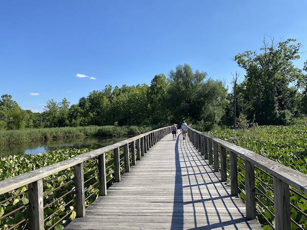 Beaver Marsh