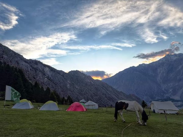 Rakaposhi Base Camp Contact. 4
