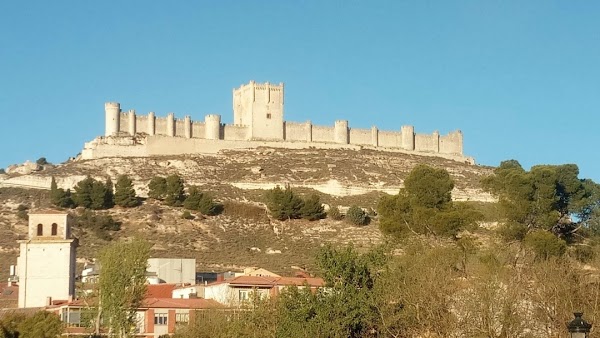 Leon 15