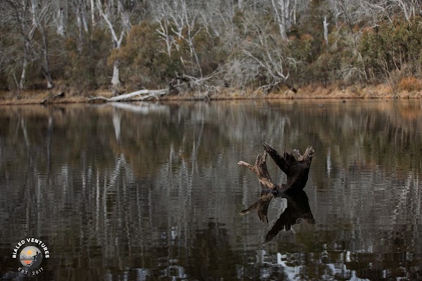 Paddys River Dam 2