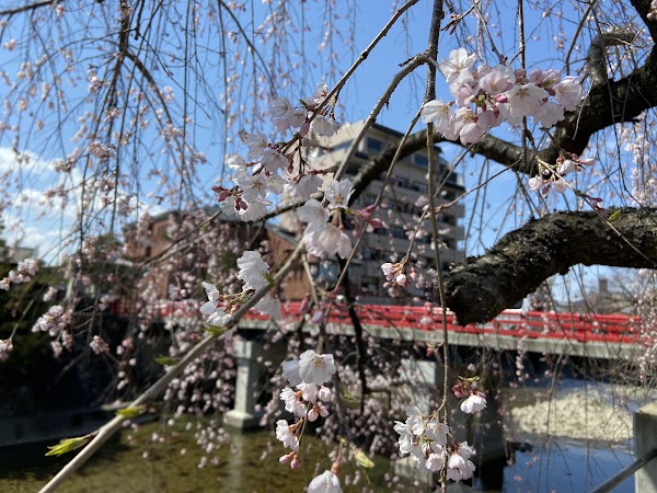 Miyagawa River 3