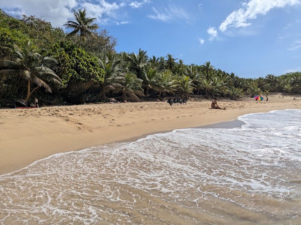 Punta Borinquen Beach 2