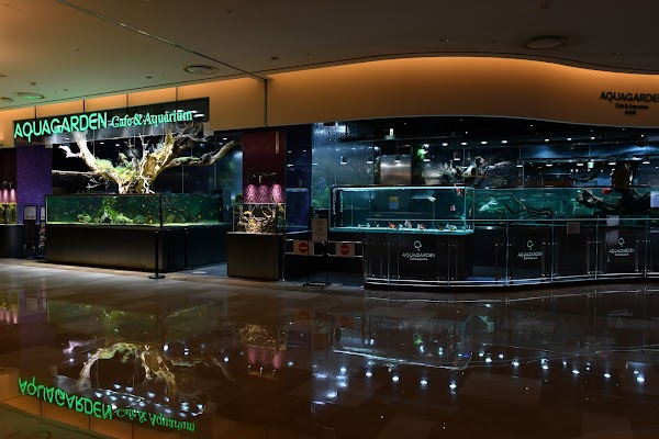 Aqua garden cafe Lotte World Tower 1